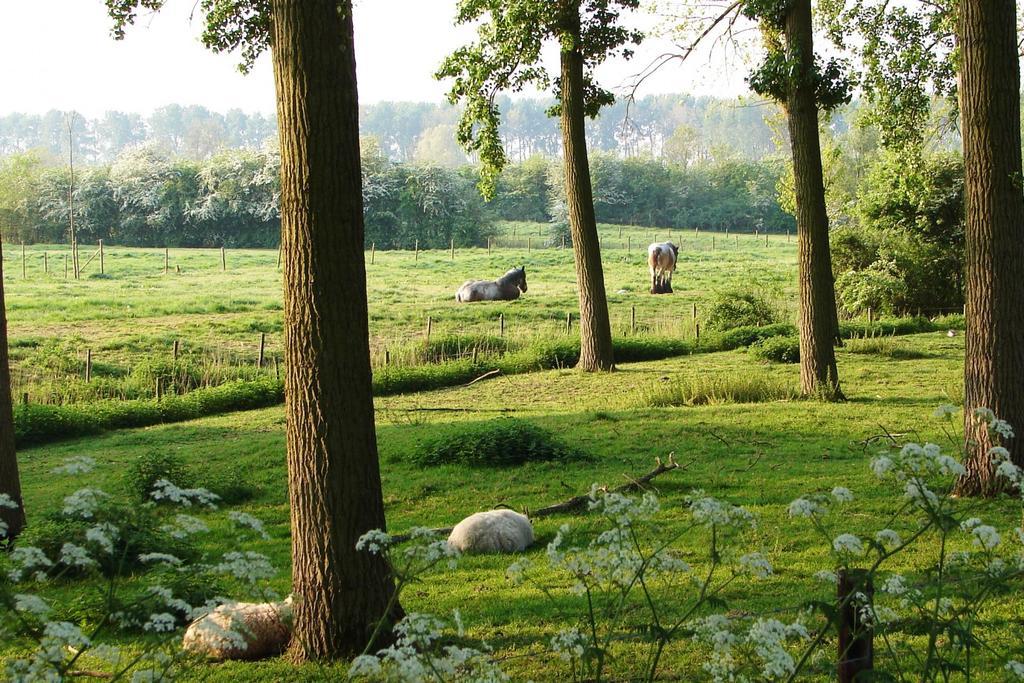 Do'S Chalets Baarland Eksteriør billede
